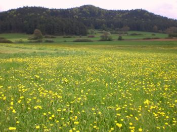 Tour Zu Fuß Hirschbach - Eschenfelden Rundweg 7 - Photo