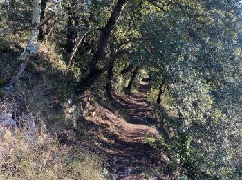 Randonnée Marche Navacelles - Les Aiguiéres au départ de Call - Photo