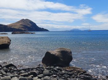 Tour Wandern Caniçal - Punta Sao Lorenço - Photo