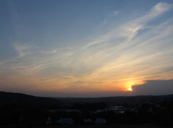 Tocht Te voet Czudec - Szlak Czarny Czudec - Photo