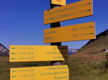 Tour Wandern La Clusaz - Col des ARAVIS ... la Croix des Frêtes. - Photo