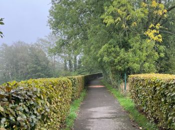 Trail Walking Neupré - Rotheux - Photo
