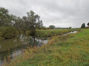 Tocht Te voet Einbeck - Nordic Walking Park Einbeck - Negenborn - Clus - Rundstrecke 9 - Photo