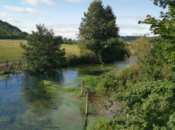 Tour Wandern Bellencombre - Bellencombre forêt d'eawy - Photo