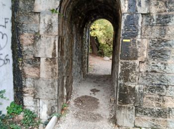 Excursión Senderismo Château-Arnoux-Saint-Auban - balade a Château Arnoux  - Photo