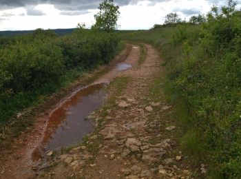 Tocht Stappen Souclin - 01 st sorlin en bugey - Photo