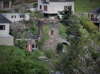 Percorso A piedi Lorch - Rundwanderweg Lorch 6 - Photo