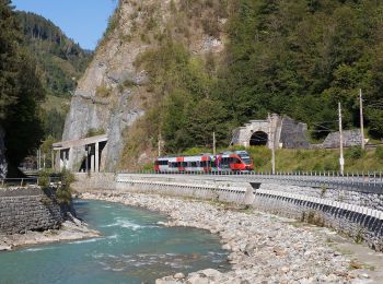 Percorso A piedi Goldegg - Goldegg-St. Veit Stausee - Photo