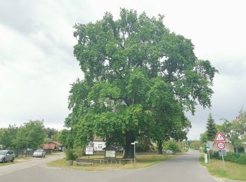 Randonnée A pied Storkow (Mark) - Wanderweg ...-Schwenow-Kossenblatt-... - Photo