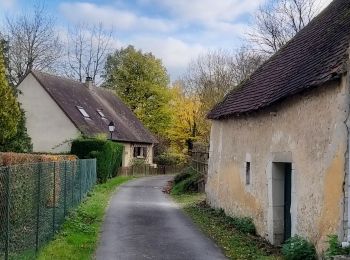 Randonnée Marche Berd'huis - Berd'huis - Condé-sur-Huisne 14 km - Photo