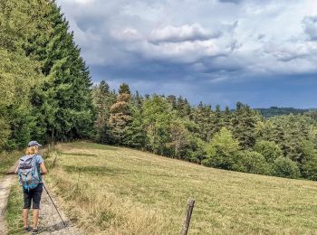Trail Walking Saint-Pal-de-Mons - chapelle ste julien-7 km - Photo
