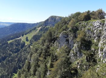 Excursión Senderismo Métabief - Metabief Mont D'or - Photo