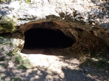 Tour Wandern Larroque - st martin d'urbens - Photo