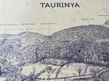 Tocht Stappen Taurinya - Site minier du salver - Photo