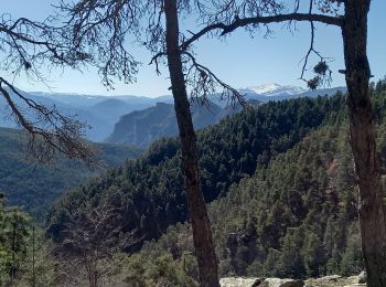 Trail Walking Braux - Rando Pieŕre qui tremble Chabrieres Peloussis Argenton  - Photo