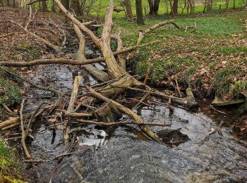 Tour Zu Fuß Ulsnis - Erholungsort Ulsnis: Rundweg Knappersfeld - Photo