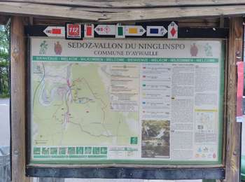 Trail Walking Aywaille - CANI-RANDO TOUR (boucle, le Ninglinspo et et les blanches pierres)  - Photo