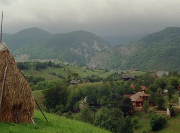 Randonnée A pied Inconnu - Cabana Curmătura-Valea Vlădușca-Casa Folea - Photo