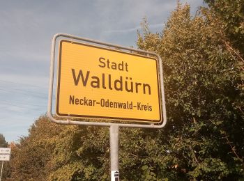 Randonnée A pied Walldürn - Biotoplehrpfad Walldürn - Photo