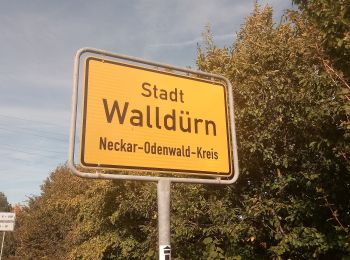 Tocht Te voet Walldürn - Biotoplehrpfad Walldürn - Photo