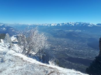 Tocht Sneeuwschoenen Saint-Nizier-du-Moucherotte - Moucherotte en circuit partiel - Photo