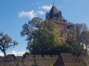 Tocht Stappen Saint-Vincent-le-Paluel - Rando Dordogne jour 1 - Photo