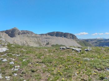 Excursión Senderismo Bouvante - Pas de la Ferrière  - Photo