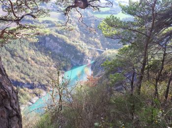 Trail Walking Treffort - Passerelle de l'Ebron. pointe de la Condamine, pas de Berlioz - Photo