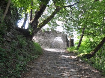 Trail On foot Waidbruck - Ponte Gardena - IT-1 - Photo