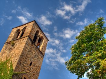 Tour Zu Fuß Montefiorino - Torrente Dragone - Castellaccio - Costrignano - Croce di Costrignano - Photo