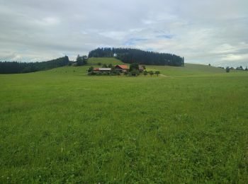 Tocht Stappen Altusried - Rundum den Vogelberg - Photo