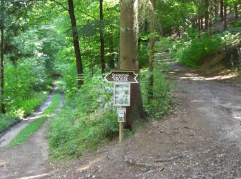 Trail On foot Steinhagen - Amshausen Rundweg A3 - Photo