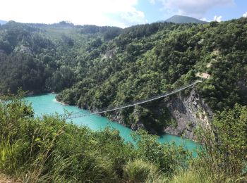 Trail Walking Treffort - Passerelle Monteynard  - Photo