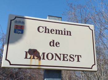 Percorso Marcia Chasselay - Chasselay chemin de Fromentin vers Limonest Mt Verdun - Photo