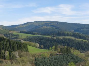 Randonnée A pied Schmallenberg - Lenne Rundweg LE2 - Photo