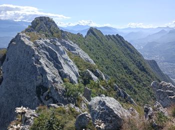 Trail Climbing Saint-Martin-le-Vinoux - neron - Photo