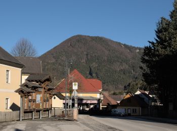 Trail On foot Gemeinde Kleinzell - Kleinzell - Schwarzwaldeckhaus - Photo