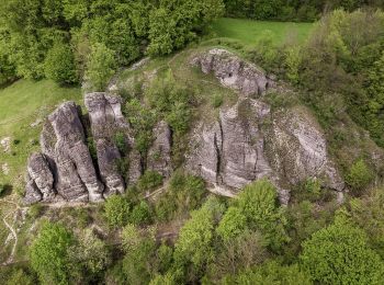 Tocht Te voet Litzendorf - Ellertal Nord - Stammberg - Rundweg - Photo