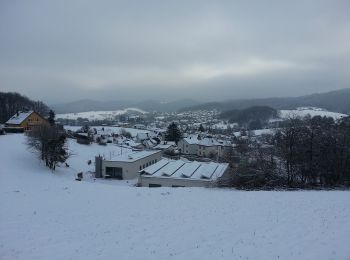 Randonnée A pied Weinheim - Rundwanderweg Bildstock 5: Rund um den Steinberg - Photo