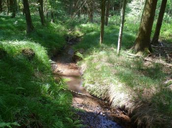 Percorso A piedi Alzenau - Blaues Eichenblatt, Rundwanderweg Albstadt (Wanderparkplatz Wehmig) - Photo