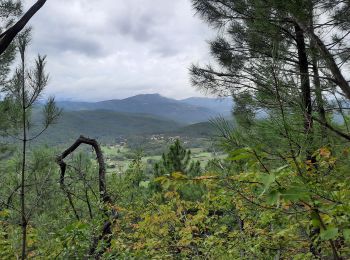 Tocht Stappen Courry - Chapelle St Sébastien au départ de Pierre Morte - Photo