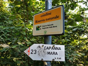 Trail On foot Albavilla - Sentiero degli Alpini - Photo