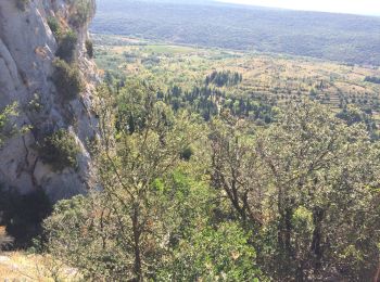 Trail Walking Saint-Bauzille-de-Putois - Grotte des demoiselles  - Photo