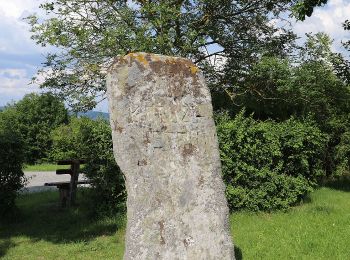 Percorso A piedi Michelau in Oberfranken - Spitzbergrundweg - Photo