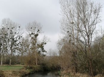 Randonnée Marche Voulon - Voulon - Photo