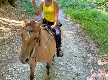 Trail Horseback riding Beaufort - Chez nous à chez Bertrand  - Photo