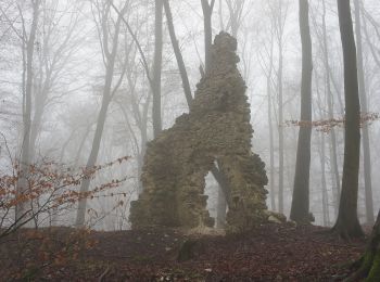 Randonnée A pied Velburg - Rundweg um den Eichelberg - Photo