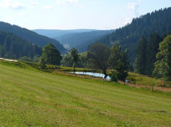 Randonnée A pied Furtwangen im Schwarzwald - Fohrenbühl - Briglirain - Photo