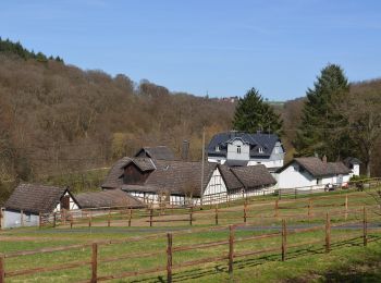 Trail On foot Weilrod - Helgenberg- Forst Laubach - Photo