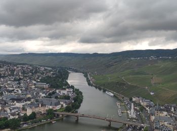 Tocht Stappen Bernkastel-Kues - A travers les Vignes de la Moselle 🌿 - Photo